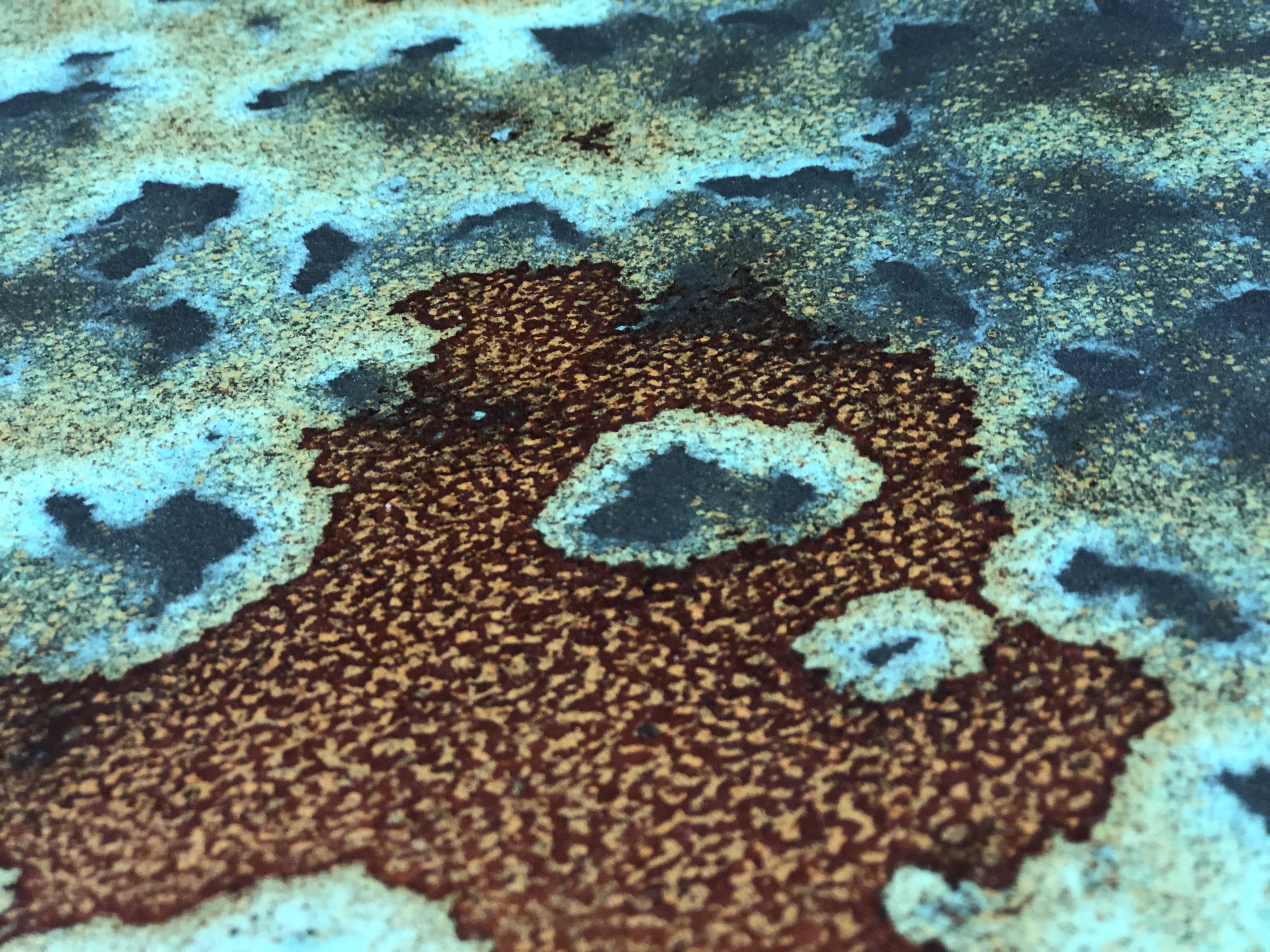 fleur-real-verdigris-finitura-anti-ossidante-versiegelung-oxidationsschutz image 4