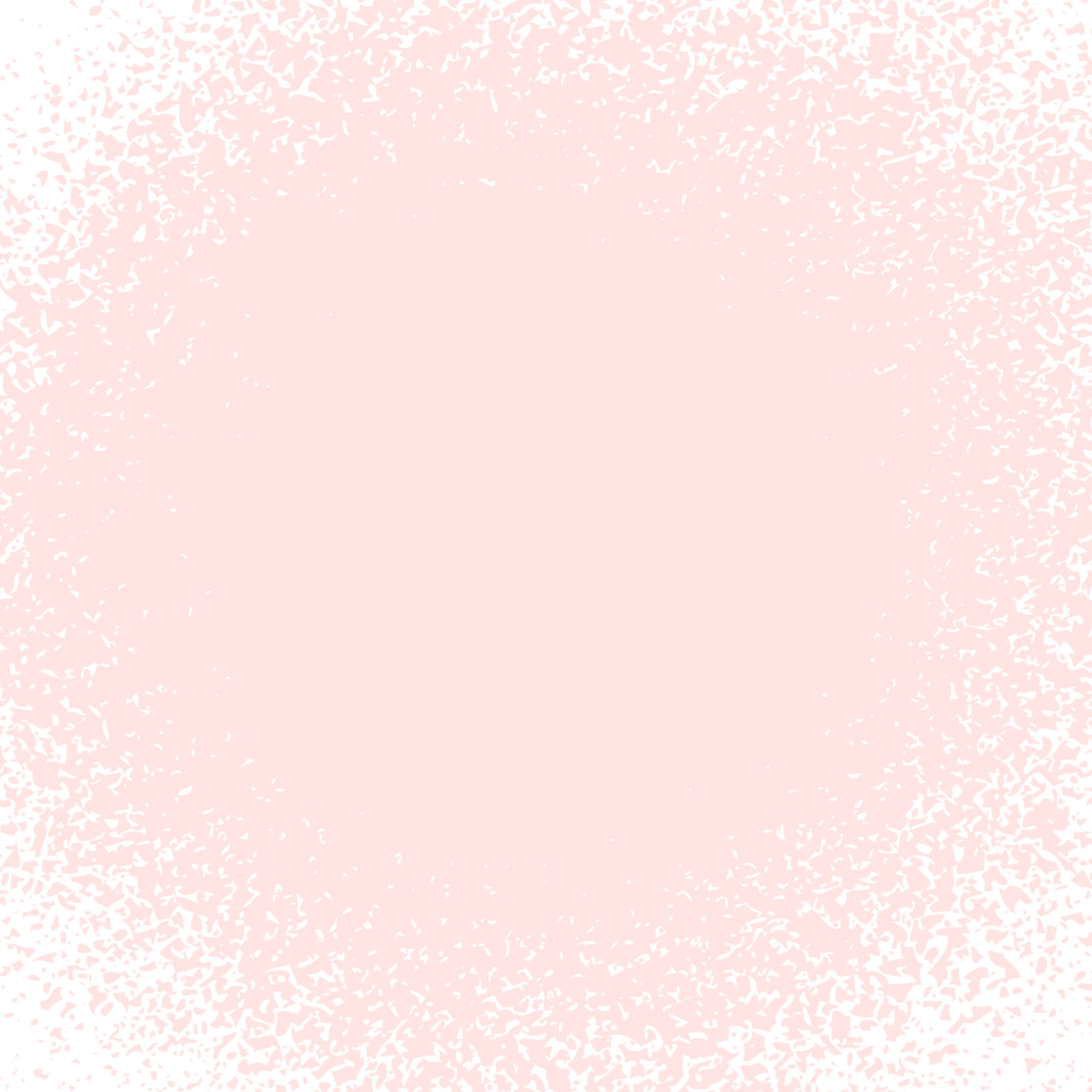 fleur-spray-mineral-paint-pink-rococ-rosa image 1