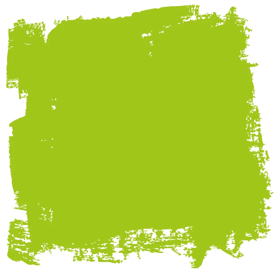 fleur-oil-colours-verde-cromo-chiaro-lfarbe-hellgr-n image 1