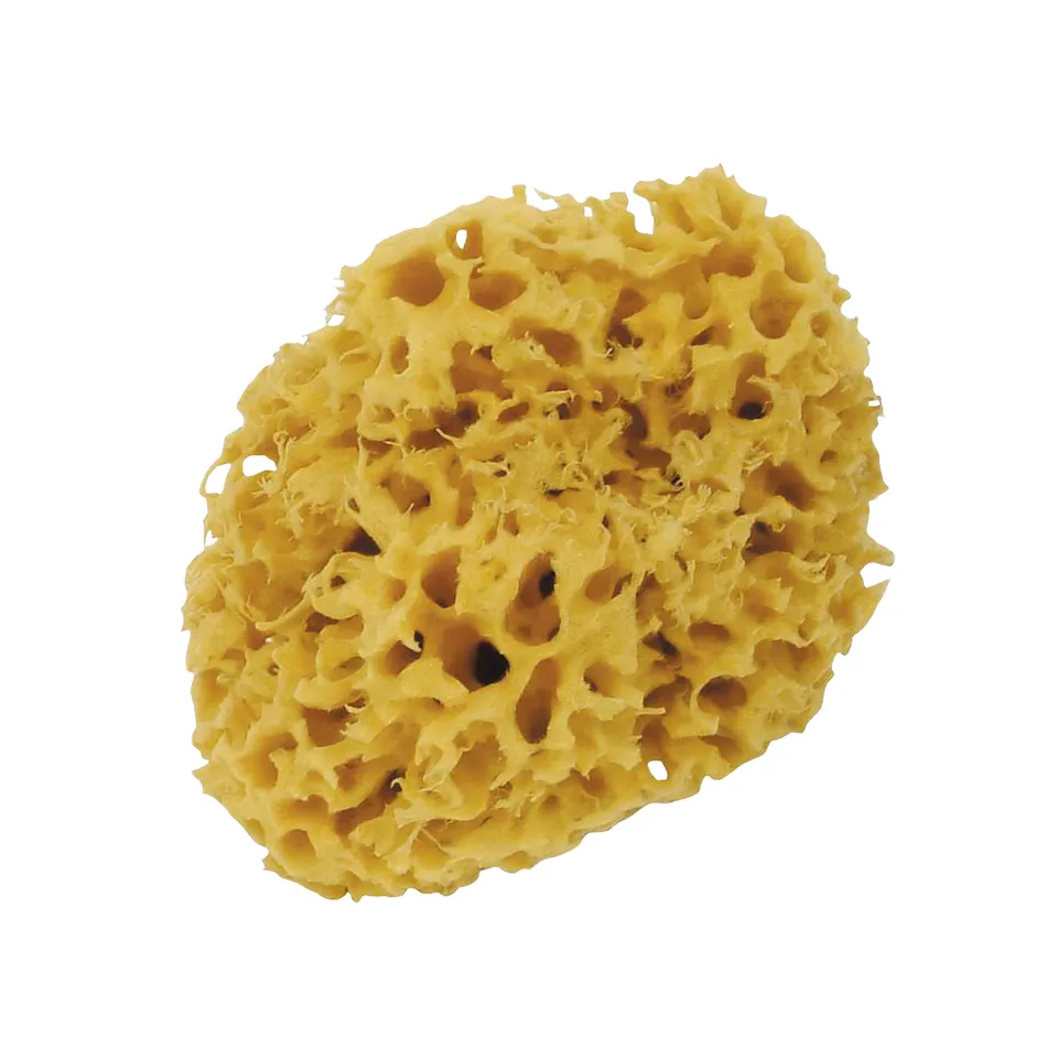 fleur-accessories-spugna-di-mare-schwamm-18x9-cm-natur image 1