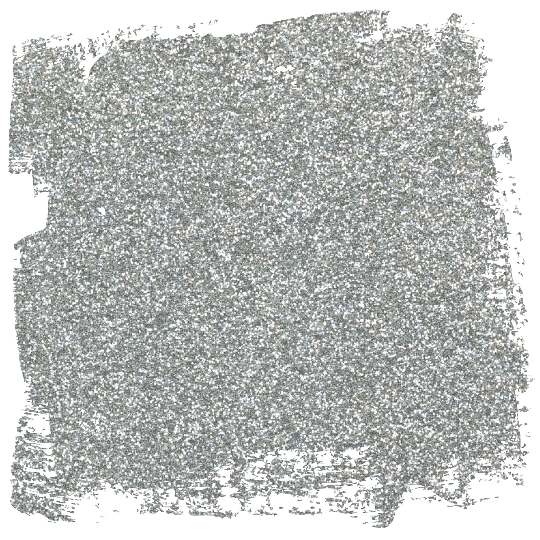 fleur-powder-glitter-silver-glitzerpulver-fein-zum-mischen image 1