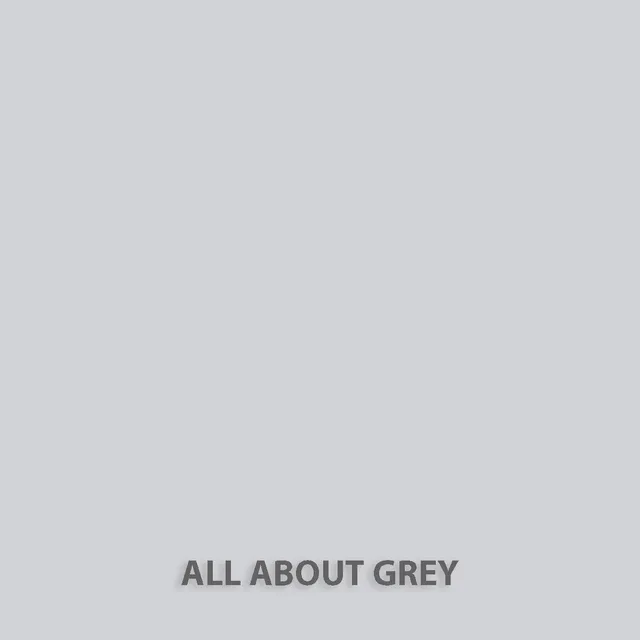 fleur-natural-clay-paint-toner-all-about-grey image 1