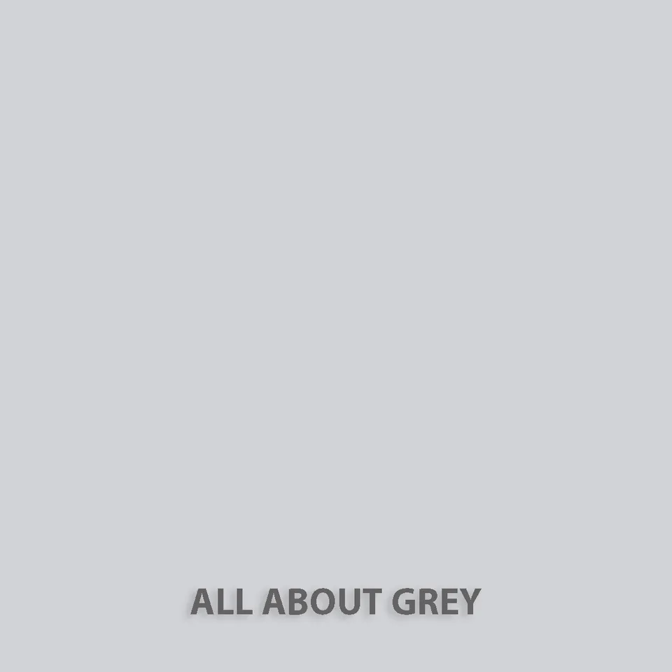 fleur-natural-clay-paint-toner-all-about-grey image 1