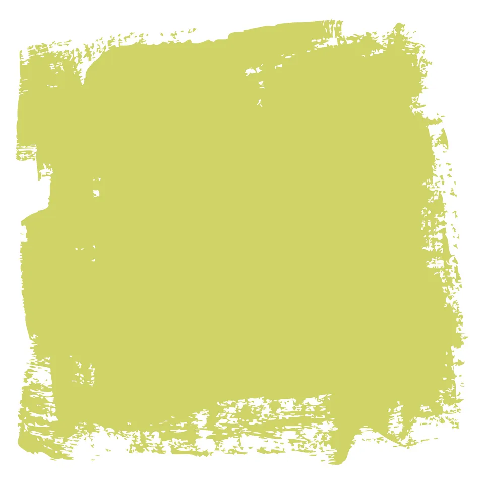 fleur-mineral-paint-flower-power-m-belfarbe-limette image 1