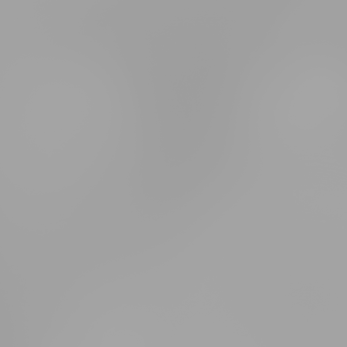 fleur-resin-pigment-silber-metallic-5-g-pulver image 2