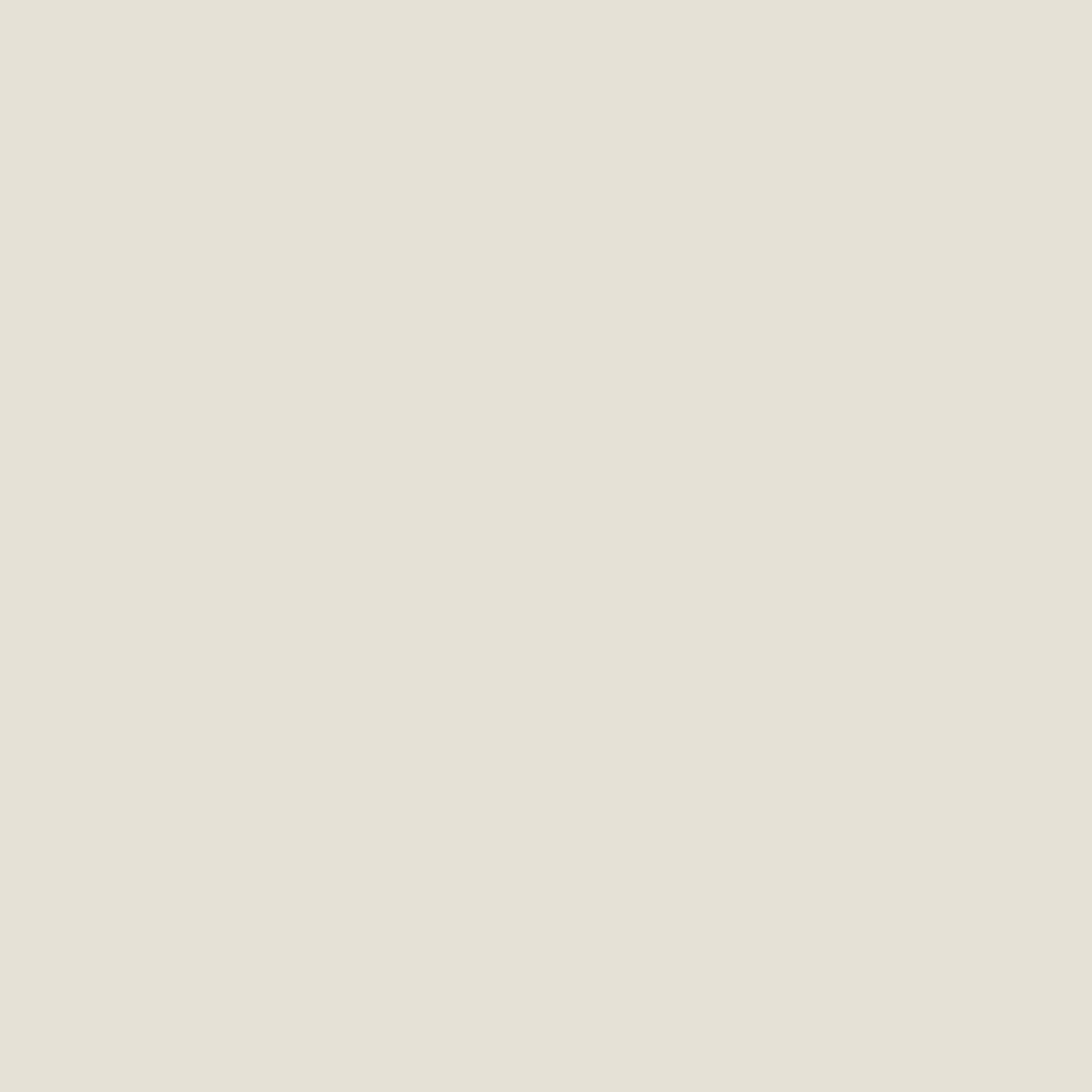 fleur-universal-colour-primer-haftgrund-hellgrau image 2