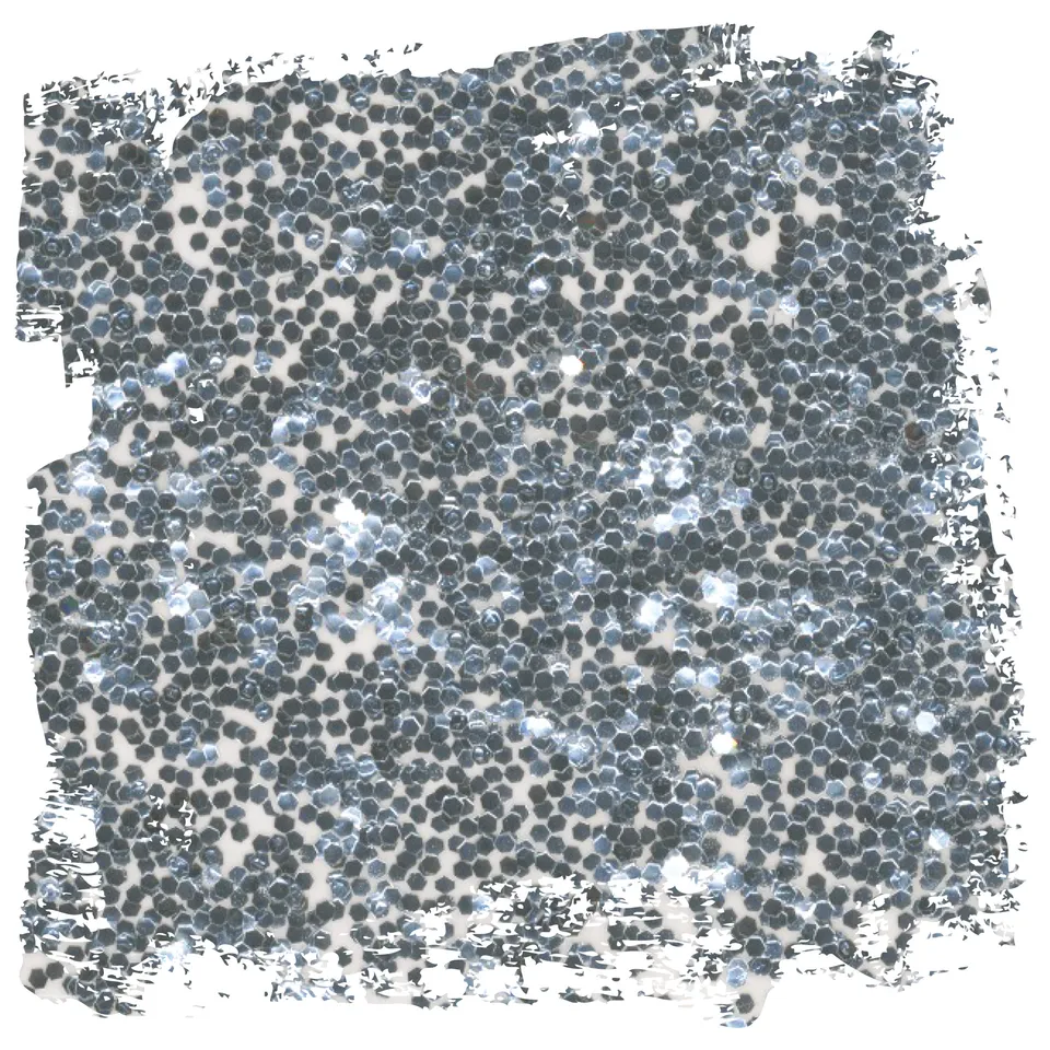 fleur-powder-glitter-ottogonali-silver-glitzerpulver-silber-fein image 1