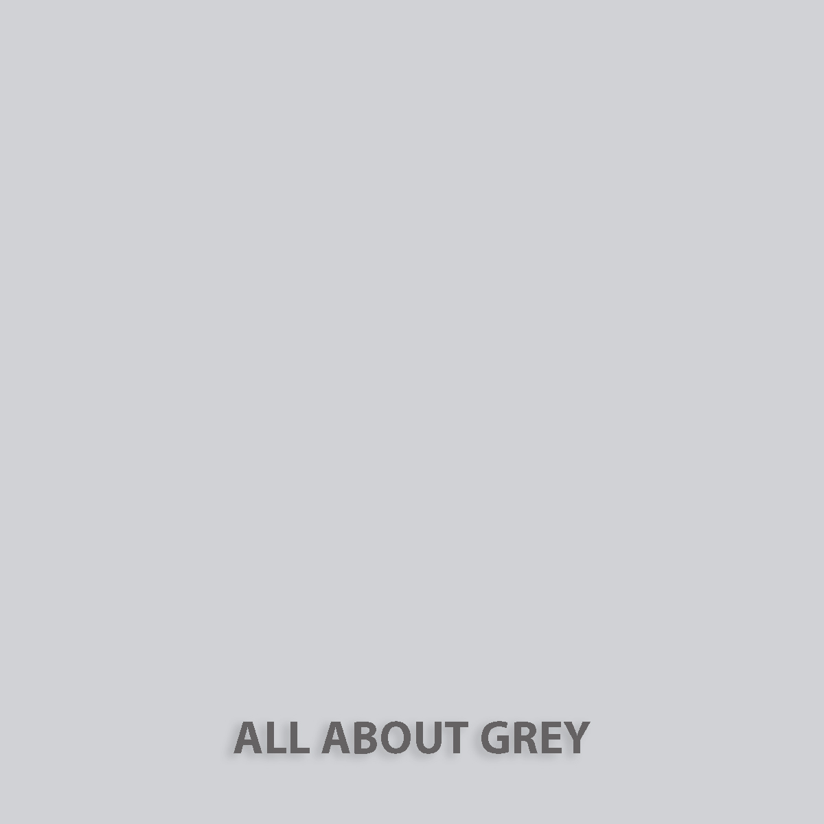 fleur-natural-clay-paint-toner-all-about-grey image 1